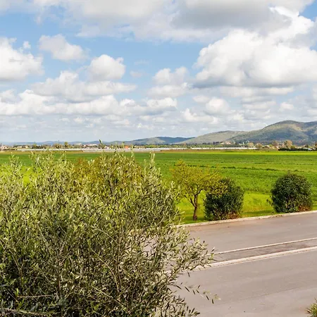 La Mora Albinia